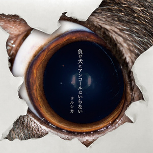 日本jinnytty无码专区
