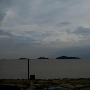 日本jinnytty无码专区
